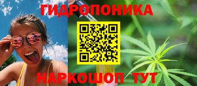 ECSTASY Гай