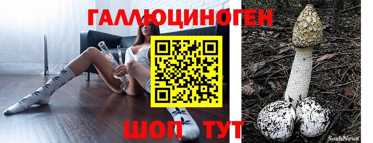 Галлюциногенные грибы Psilocybine cubensis Димитровград
